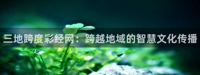 不朽情缘五滴血：三地跨度彩经网：跨越地域的智慧文化传播
