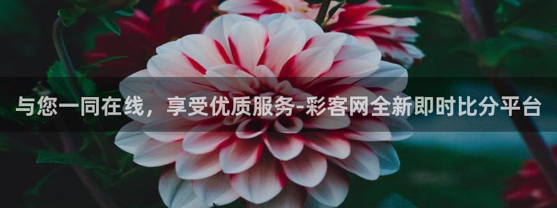 mg不朽情缘试玩：与您一同在线，享受优质服务-彩客网全新即时比分平台