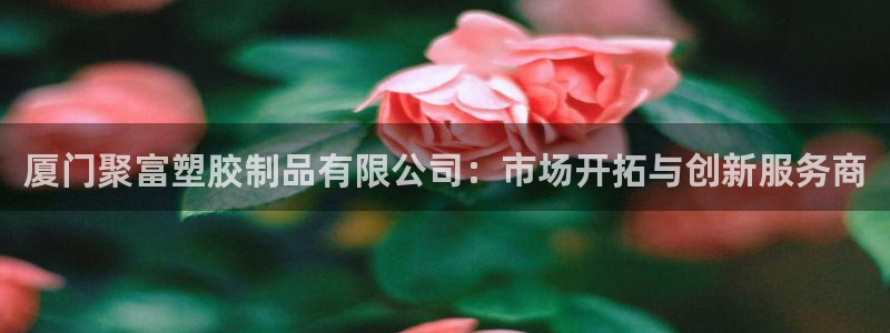 mg不朽情缘：厦门聚富塑胶制品有限公司：市场开拓与创新服务商
